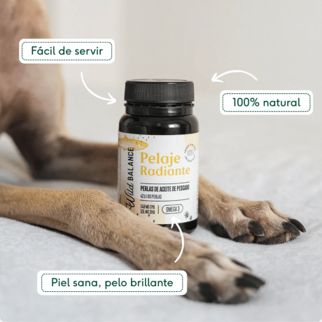 como dar capsulas pelaje radiante wild balance y beneficios del omega 3 en perros y gatos