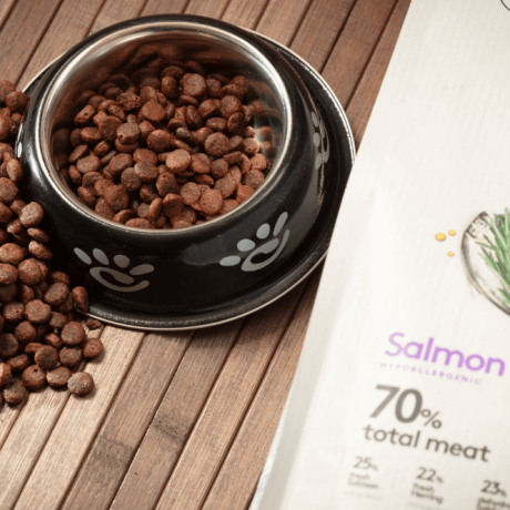 Pienso hipoalergénico Dibaq Sense de salmón para perros mini con 70 por ciento de carne total en cuenco negro sobre madera