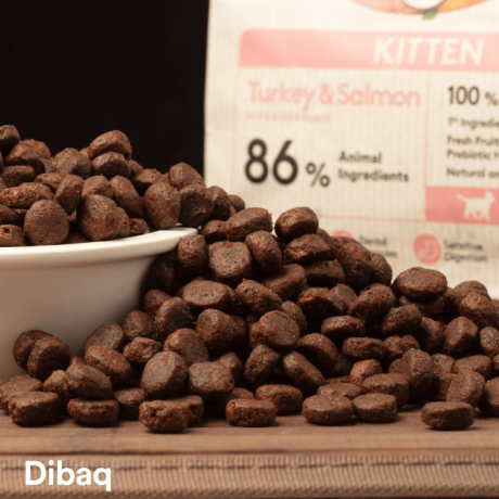 Pienso Dibaq Sense Kitten de pavo y salmon para gatitos con un 86 por ciento de ingredientes de origen animal