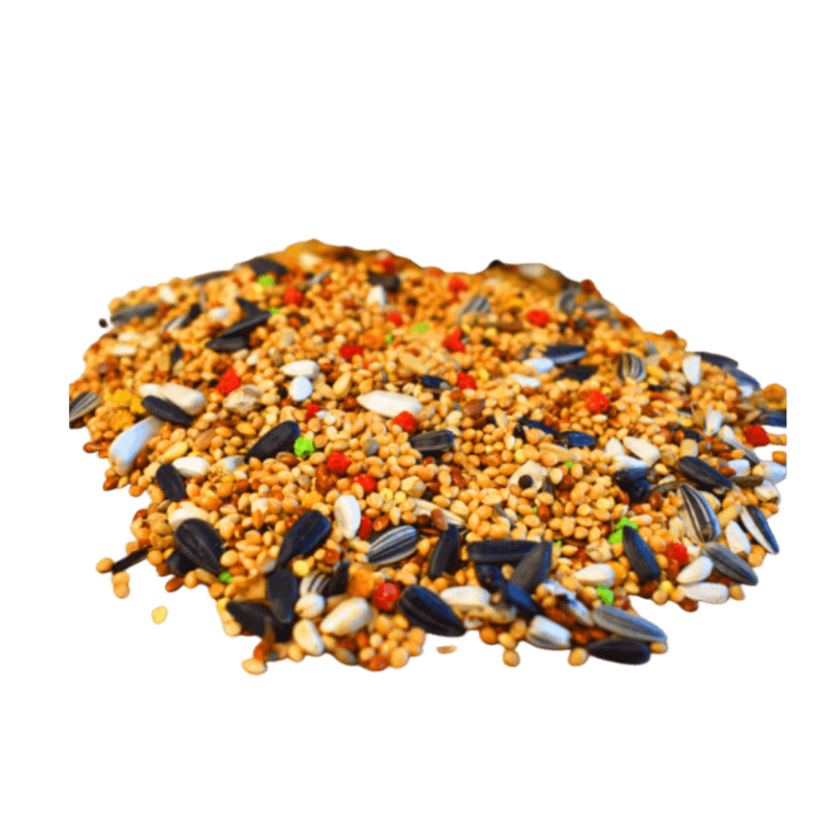 Primer plano de la mixtura Shambi EXTRA para Agapornis y Ninfas, mostrando semillas de girasol, mijo, y trozos pequeños de frutas o verduras de colores.
