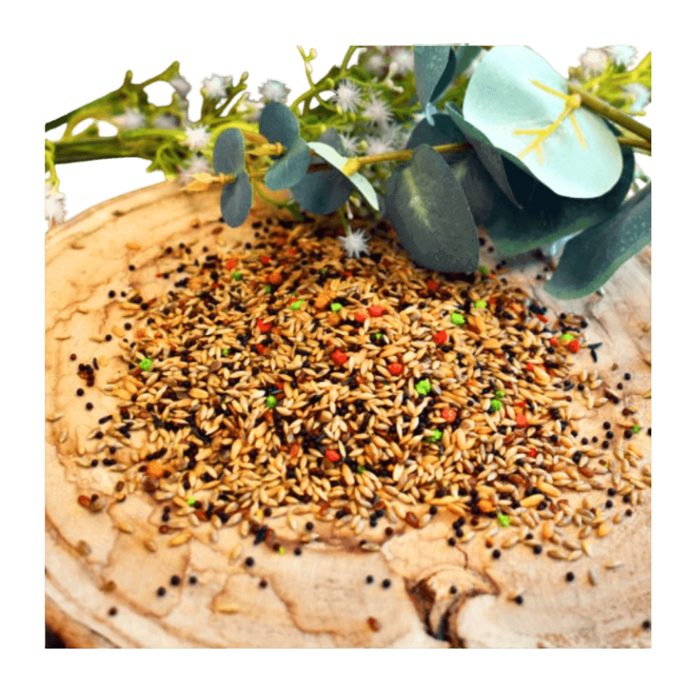 Bolsa de 1 kg de mixtura Shambi Premium EXTRA para canarios y jilgueros, destacando la presencia de avena.