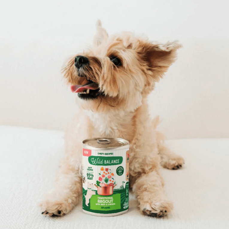perro feliz junto a lata de ragut de ternera y pollo wild balance 400g