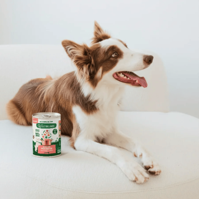Wild_Balance_guiso_pescador_400gr_perro_modelo