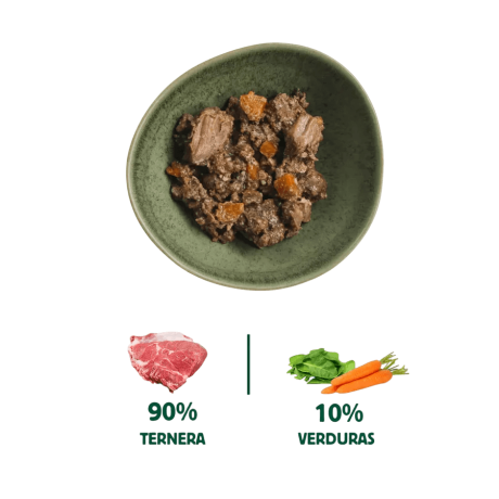infografia ingredientes carne de ternera hueso con tuetano zanahoria y espinacas