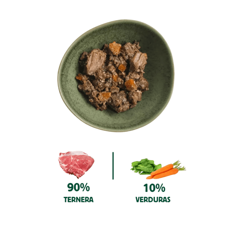 infografia ingredientes carne de ternera hueso con tuetano zanahoria y espinacas