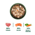 infografia ingredientes salmon ternera zanahoria y espinacas para perros