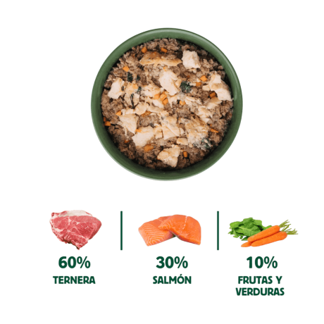 infografia ingredientes salmon ternera zanahoria y espinacas para perros
