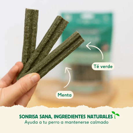 ingredientes naturales té verde y menta en sticks dentales de pavo wild balance para perros