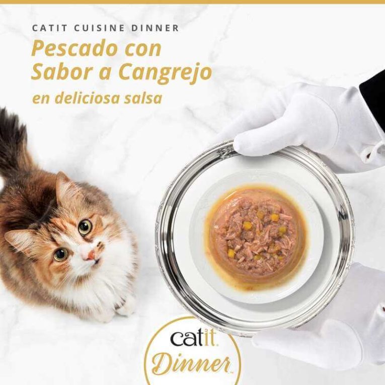 Gato mirando un plato de Catit Cuisine Dinner sabor Pescado con Sabor a Cangrejo, servido en bandeja de plata. El alimento está en una deliciosa salsa.