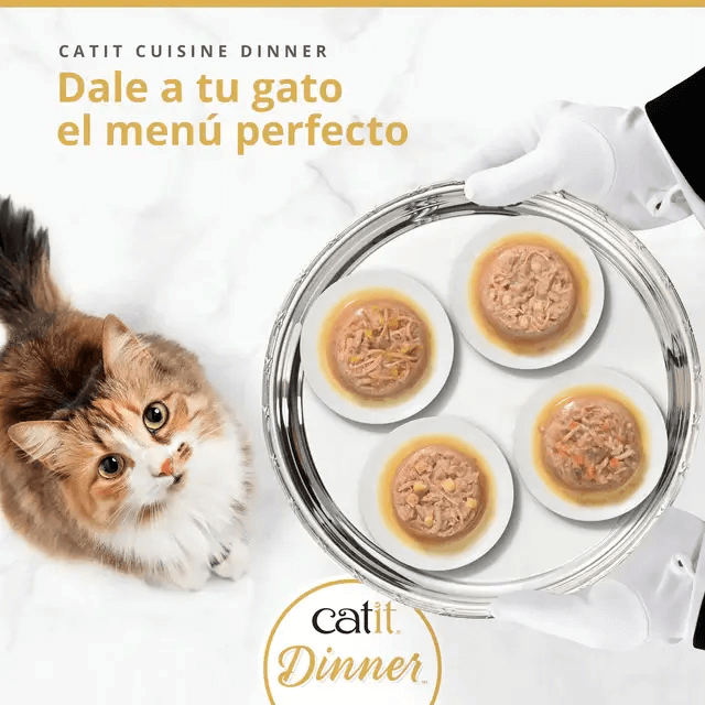 Un gato mirando expectante una bandeja de plata con cuatro raciones de comida húmeda Catit Cuisine Dinner, con el eslogan 'Dale a tu gato el menú perfecto'.