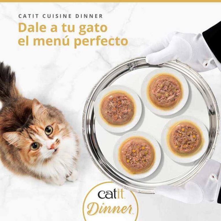 Gato mirando un plato de Catit Cuisine Dinner sabor Pescado con Calabaza en salsa, servido elegantemente en una bandeja de plata.