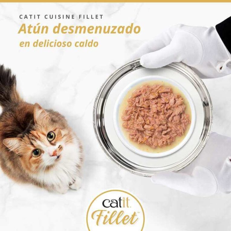 Gato atigrado mirando un plato de Catit Cuisine Fillet de Atún desmenuzado en delicioso caldo.
