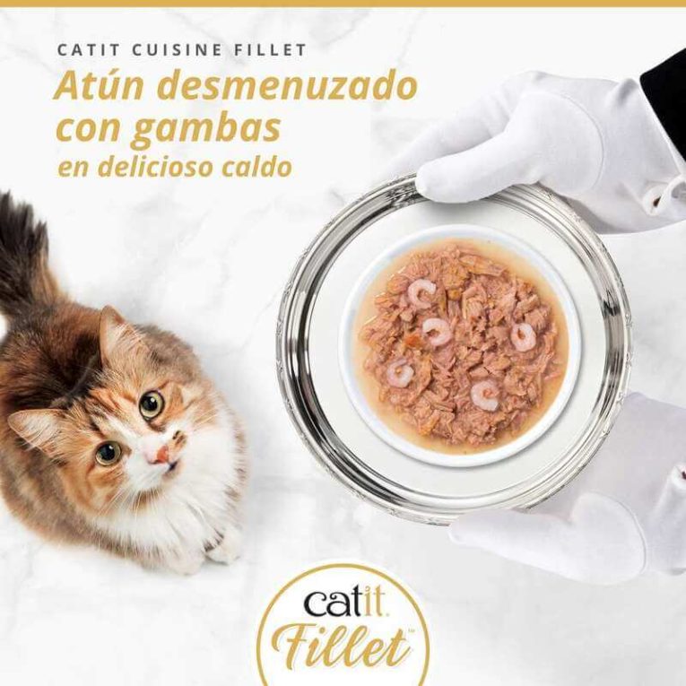 Gato mirando un plato de Catit Cuisine Fillet de Atún desmenuzado con Gambas en delicioso caldo. El producto muestra trozos visibles de gambas.