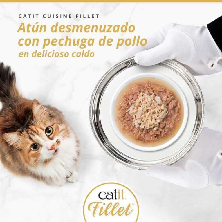 Gato atigrado mirando un plato de Catit Cuisine Fillet de Atún desmenuzado con Pechuga de Pollo en delicioso caldo.
