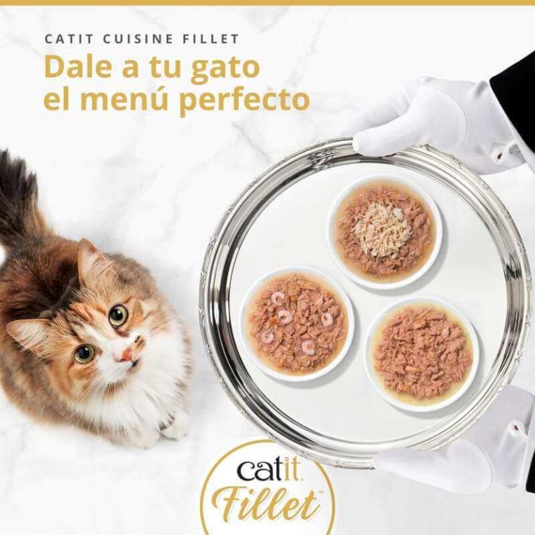 Gato atigrado mirando un plato con tres porciones de Catit Cuisine Fillet de Atún (Atún, Atún con Pollo, Atún con Gambas) para el menú perfecto.