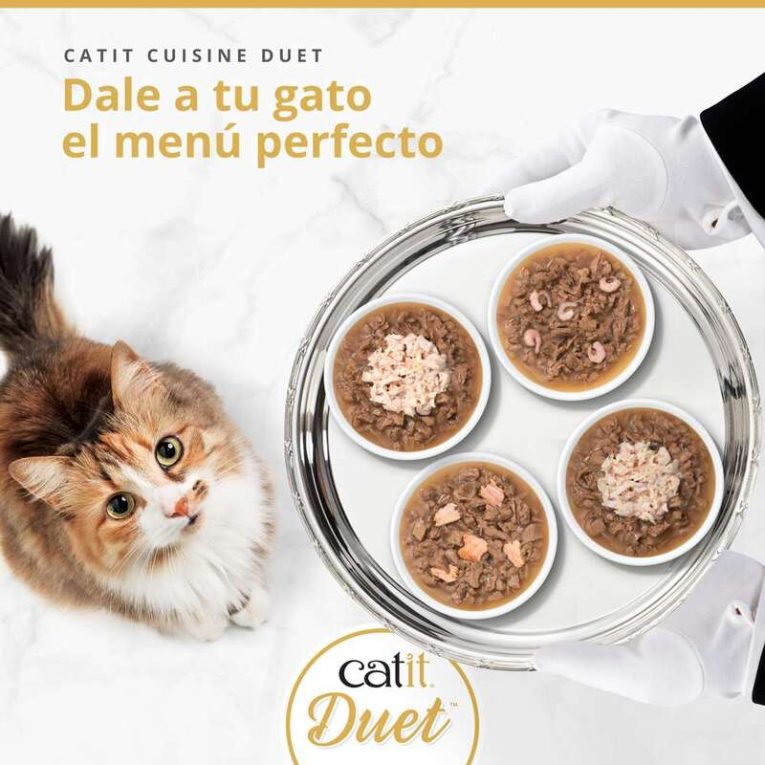 Menú Gourmet Catit DUET: Cuatro platos con las variedades de trocitos en salsa, servidos en bandeja de plata a un gato.