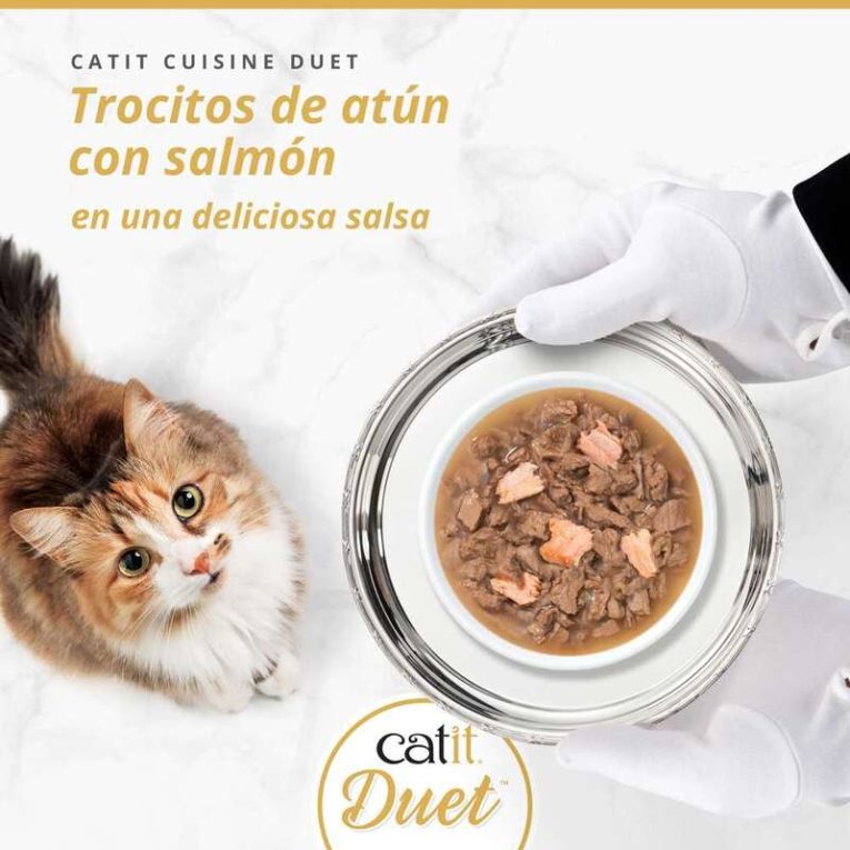 Foto promocional Catit DUET, gato mirando trocitos de Atún con Salmón en salsa servidos en una bandeja.