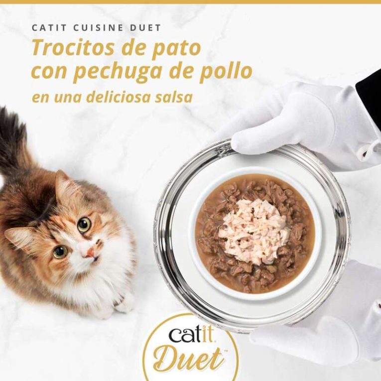 Foto promocional Catit DUET, gato mirando trocitos de Pato con Pechuga de Pollo en salsa servidos en bandeja.