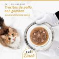 Foto promocional Catit DUET, gato mirando trocitos de Pollo con Gambas en salsa servidos en una bandeja.