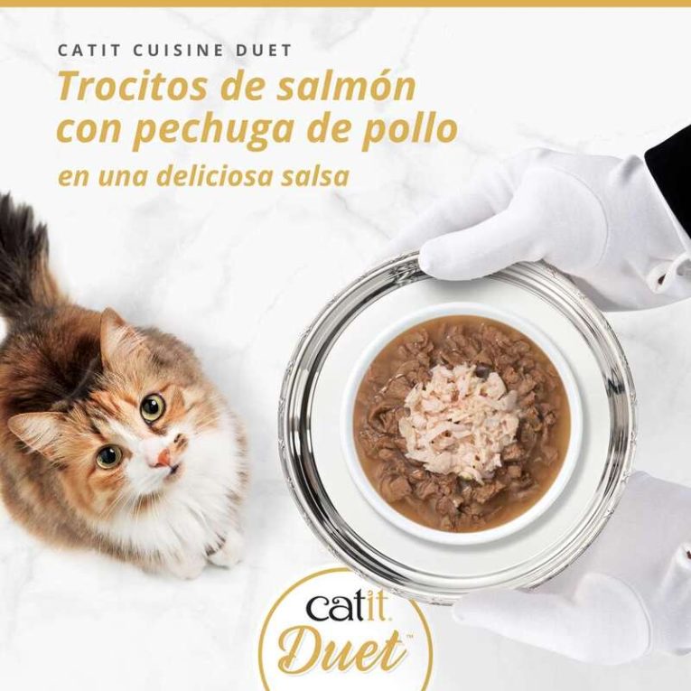 Foto promocional Catit DUET, gato mirando trocitos de Salmón y Pechuga de Pollo en salsa.