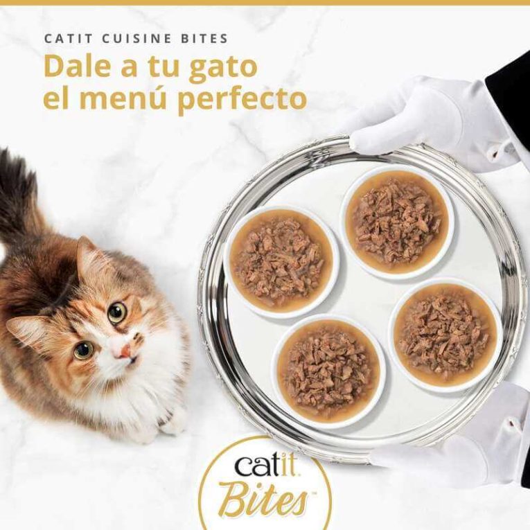 Menú Gourmet Catit BITES: Cuatro platos con las variedades de trocitos en salsa, servidos en bandeja de plata a un gato.
