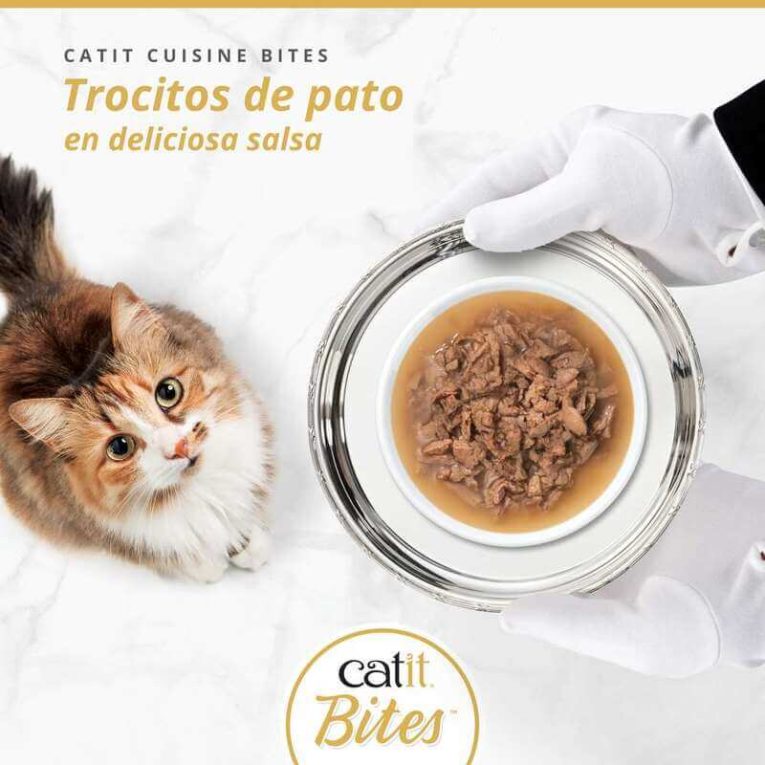 Trocitos de Pato Catit BITES en salsa, servido en plato Gourmet en bandeja de plata a un gato.