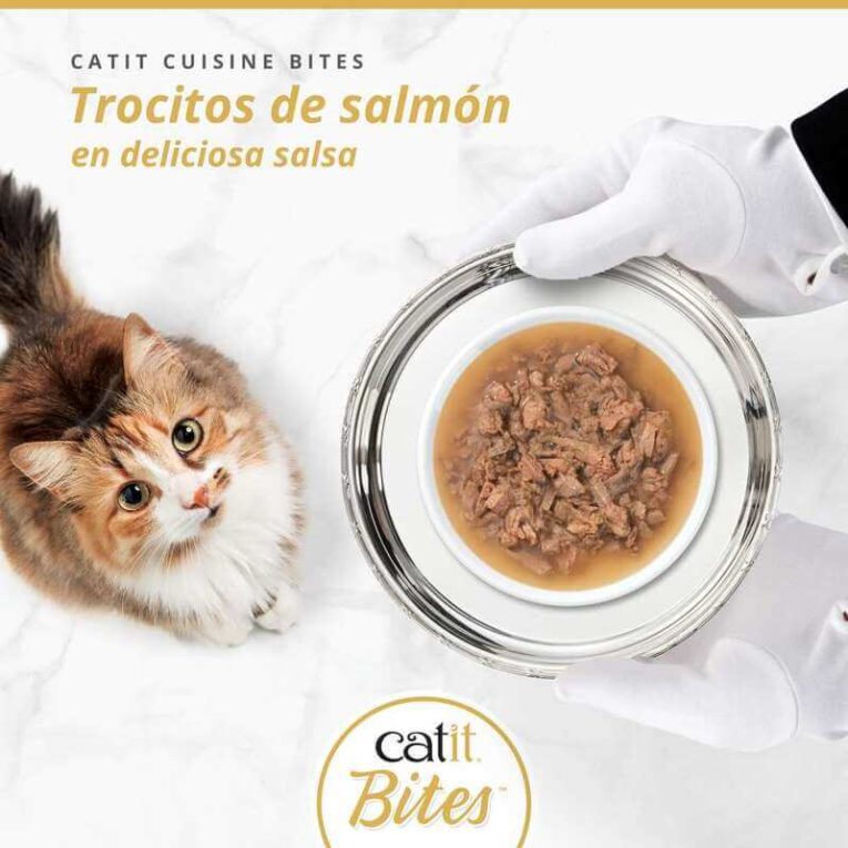 Trocitos de Salmón Catit BITES en salsa, servido en plato Gourmet en bandeja de plata a un gato.
