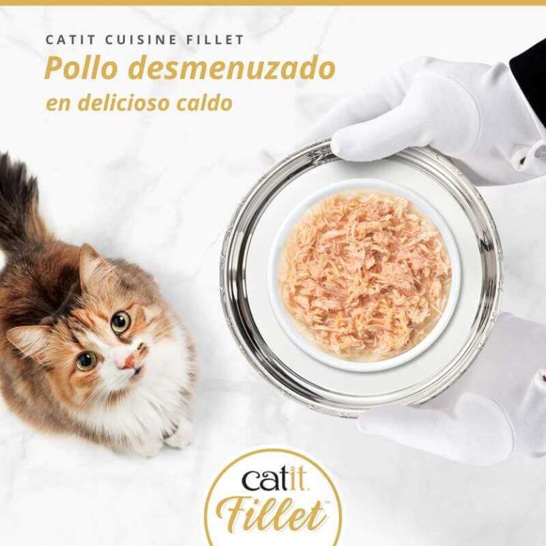Pollo Desmenuzado Catit FILLET en caldo, servido en plato Gourmet en bandeja de plata a un gato.