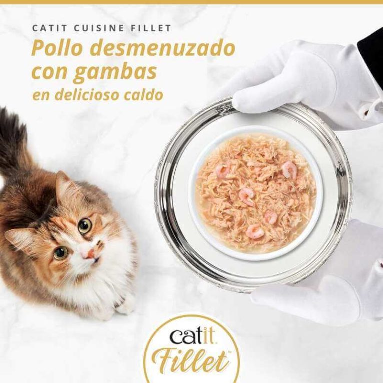 Pollo Desmenuzado con Gambas Catit FILLET en caldo, servido en plato Gourmet en bandeja de plata a un gato.