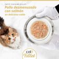 Pollo Desmenuzado con Salmón Catit FILLET en caldo, servido en plato Gourmet en bandeja de plata a un gato.