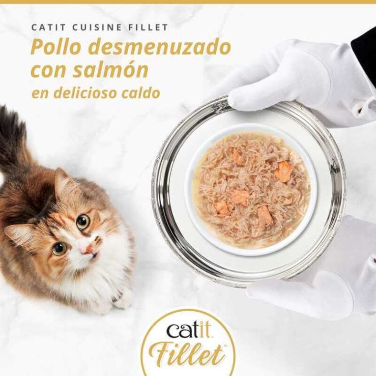 Pollo Desmenuzado con Salmón Catit FILLET en caldo, servido en plato Gourmet en bandeja de plata a un gato.
