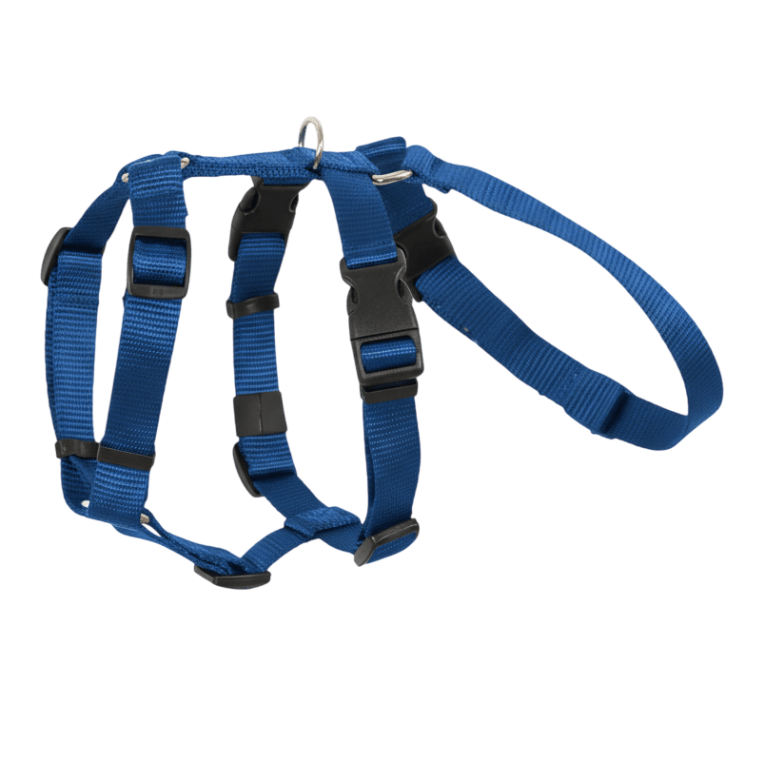 Arnés de 3 puntos anti-escape de nylon azul Cobalto para perros, arnés de seguridad para coche