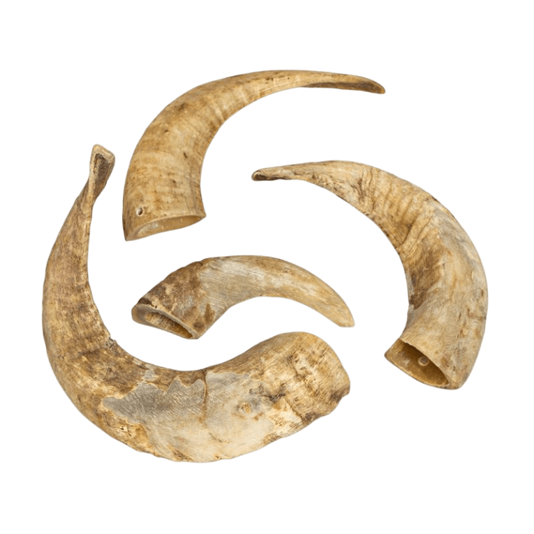 Cuerno de cabra natural secado, mordedor de masticación ultra-duradera para perros, limpieza dental.