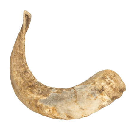 Mordedor de Cuerno de Cabra 100% natural para perros, snack dental y de larga duración.