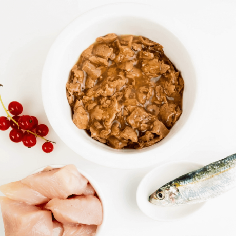 Bocaditos en salsa Dibaq Sense de pollo y sardina para gatos con trozos de carne fresca y pescado en plato blanco