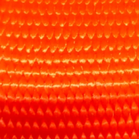 Detalle de la cinta de nylon naranja de alta resistencia para el arnés anti-escape de 3 puntos en perros