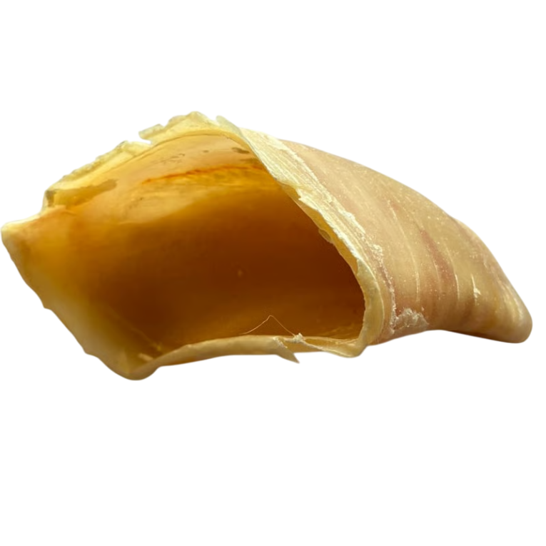 Snack de Pezuña de Ternera deshidratada para perros, pura proteína, masticable duradero para razas medianas y grandes.