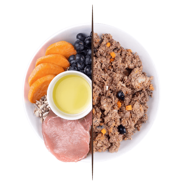 Plato de Puromenu Ibérico Royale para perros. Muestra el producto cocinado junto a sus ingredientes frescos: carne de cerdo, batata, arándanos, semillas de girasol y aceite.