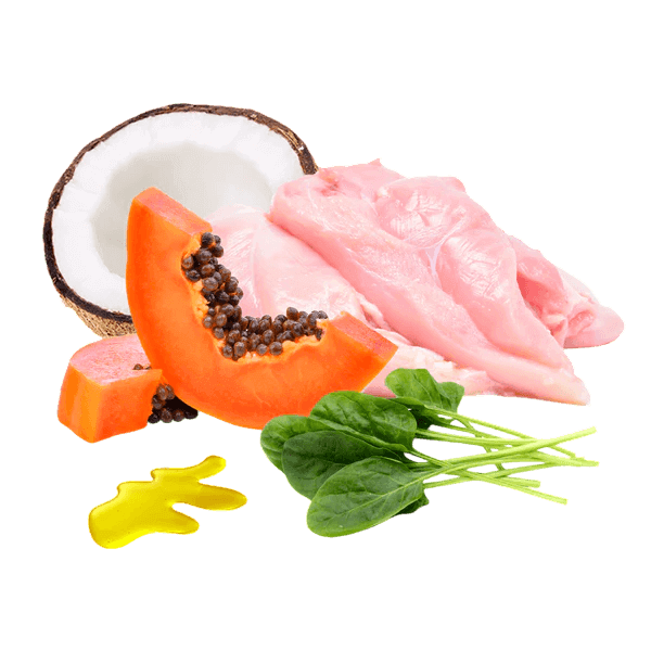 Beneficios Clave para tu Perro Digestión Súper Suave: El Pollo (75%) es una proteína de alta calidad conocida por ser muy ligera y de fácil digestión, perfecta para estómagos sensibles o perros en recuperación. Soporte Intestinal y Anti-patógenos: El Coco aporta prebióticos y ha demostrado su potencial antibacteriano y antifúngico, ayudando a mantener el tracto digestivo saludable. Vitaminas y Enzimas Digestivas: La Papaya es rica en Vitamina C y enzimas digestivas, lo que contribuye a un mejor procesamiento de los alimentos. 🥭 Antioxidantes y Fibra: La Espinaca está cargada de hierro, fibra y poderosos antioxidantes, que contribuyen a la vitalidad general de tu perro. 💪