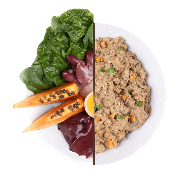 Plato de Puromenu Pollo Supreme para perros. Muestra el producto cocinado junto a sus ingredientes frescos: pollo (corazones, mollejas, hígado), espinacas, papaya y yema de huevo.