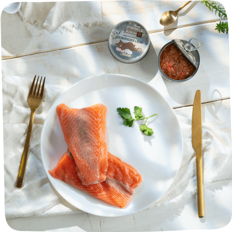 MjAMjAM Filete Salmón Gato 80g, alimento complementario gourmet con filetes de salmón.