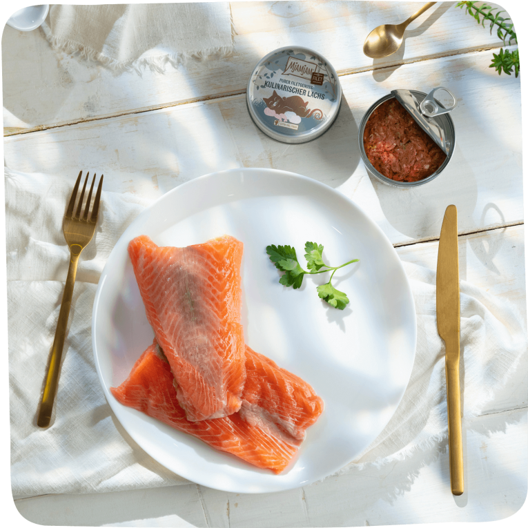 MjAMjAM Filete Salmón Gato 80g, alimento complementario gourmet con filetes de salmón.