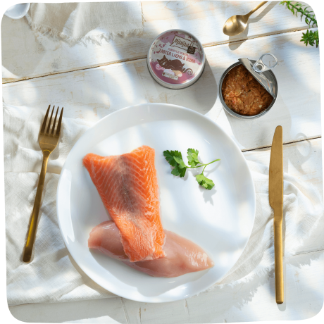 MjAMjAM Filete Salmón Pollo 80g, alimento complementario gourmet de salmón y pollo.