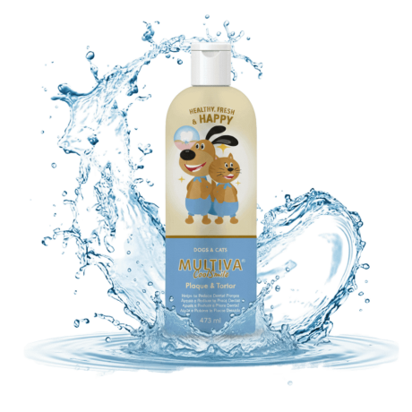 botella de Multiva CoolSmile Plaque y Tartar sobre base de agua cristalina para higiene dental de perros y gatos sin cepillado