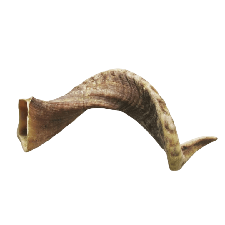 Cuerno de carnero natural de 200g talla L-XL para perros en Anlú