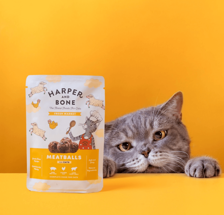 Harper_and_bone_albondigas_amarillas_gato_2