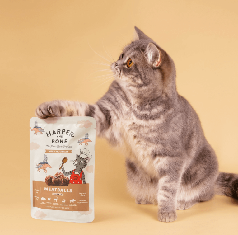 Harper_and_bone_albondigas_marrones_gato