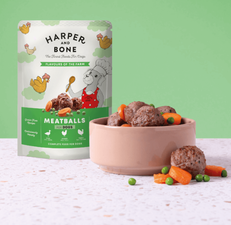 Harper_and_bone_albondigas_verde_perro