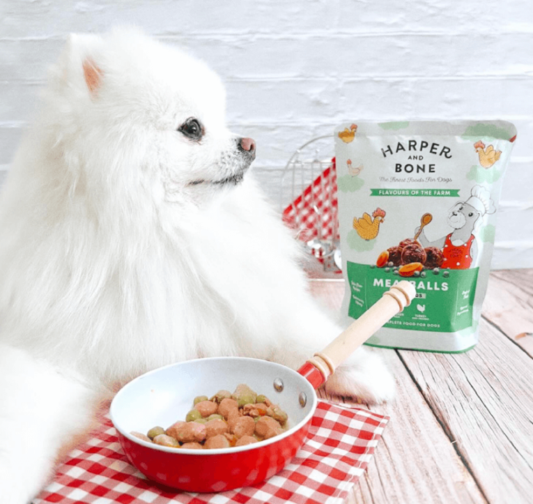 Harper_and_bone_albondigas_verde_perro_2