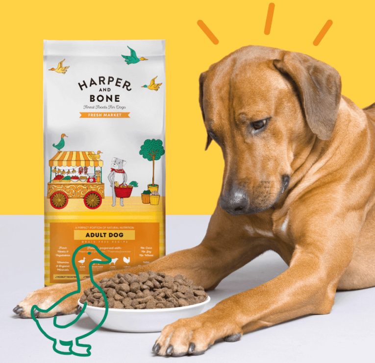 Harper_and_bone_fresh_market_maxi_2